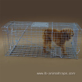 Collapsible Live Animal Trap Catch